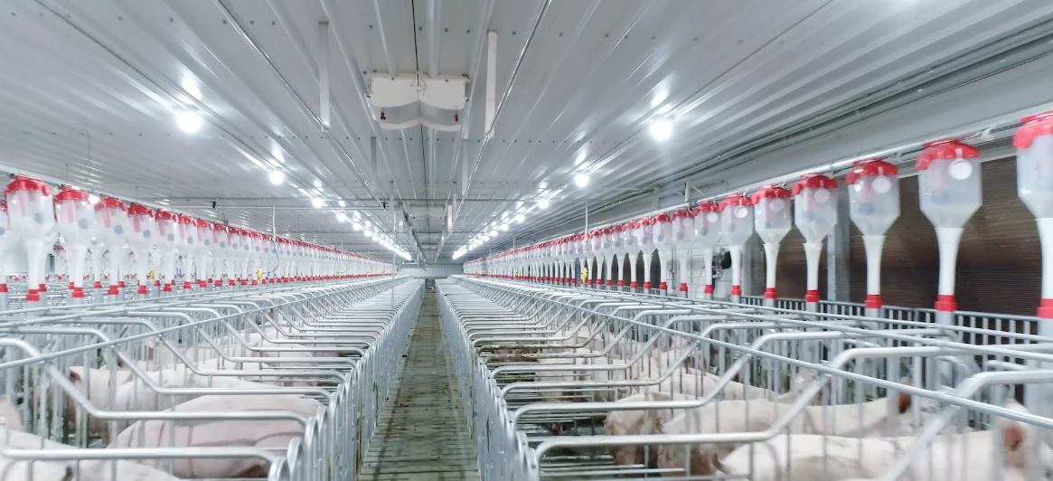 ������ʱ - �������ǲ�!