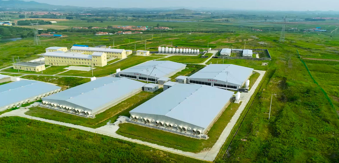 ������ʱ - �������ǲ�!