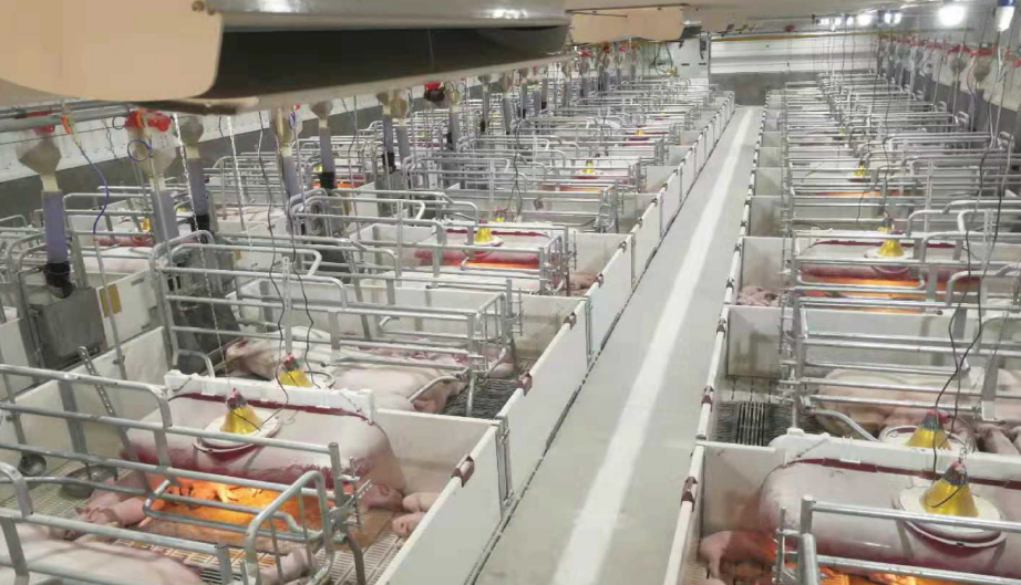 ������ʱ - �������ǲ�!